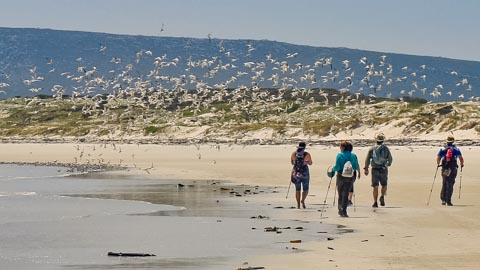 Hiking & Birding - Kleinbaai, Gansbaai