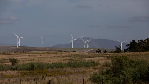 Attractions - Kleinbaai, Gansbaai