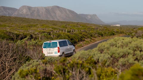 Attractions - Kleinbaai, Gansbaai