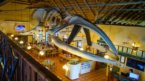 Eating & Dining - Kleinbaai, Gansbaai